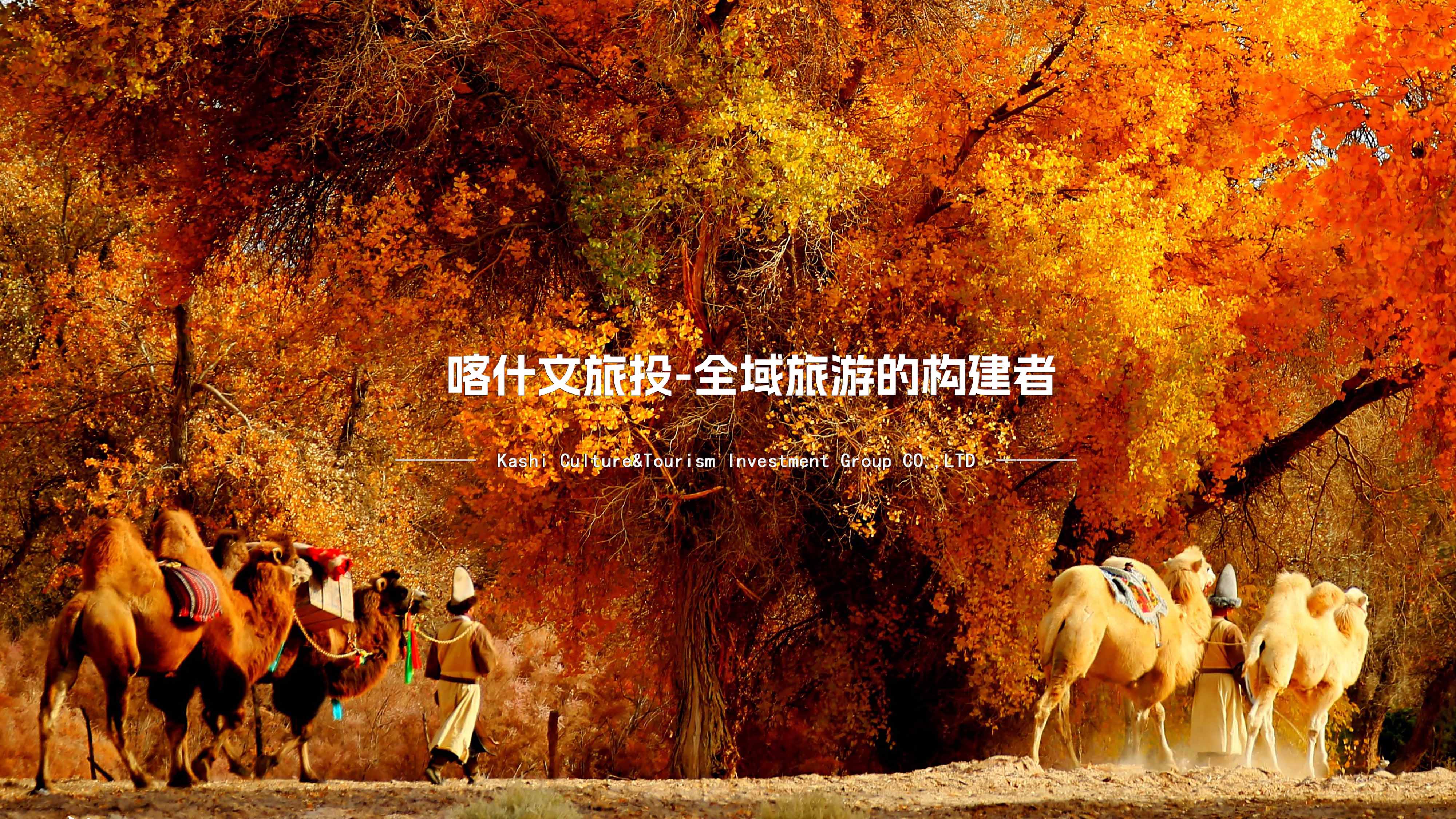 大美喀什欢迎您